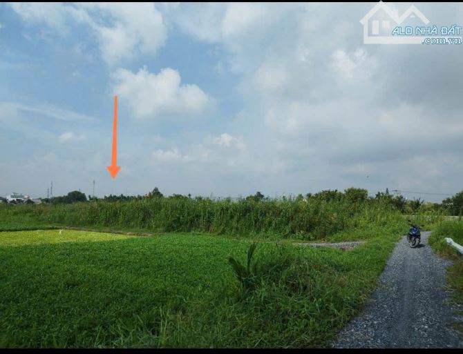 1000m2 đất trồng cây mặt tiền xã Bình Mỹ giá chỉ 2.5 tỷ - 1