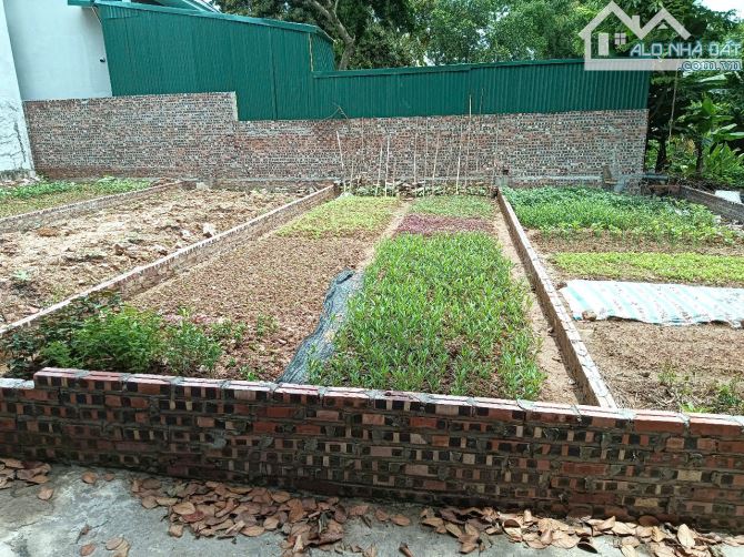 🔥 Hàng F0 trung tâm Thị trấn Phúc Thọ – hơn 50m² chỉ 2 tỷ! 🔥 - 1