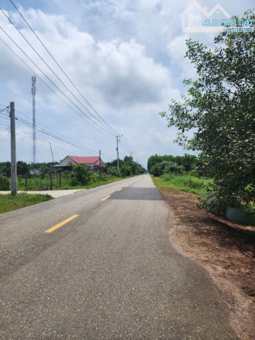 Bán lô đất sào sẵn 1295m2 đất ở xã Phước Hải (Lộc An cũ), tp HCM - 1