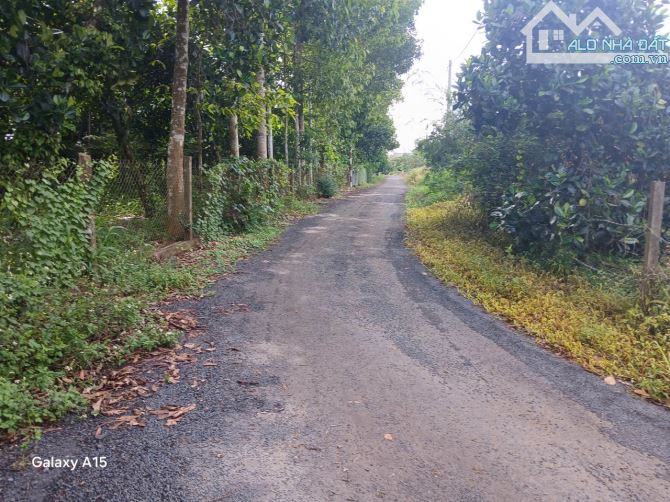 CẦN BÁN 7500m2 PHỦ HỒNG NGUYÊN NHÀ VƯỜN TRÁI CÂY SẴN GIÁ RẺ CHỈ 3tỷ CÁCH BIỂN 20km. - 1