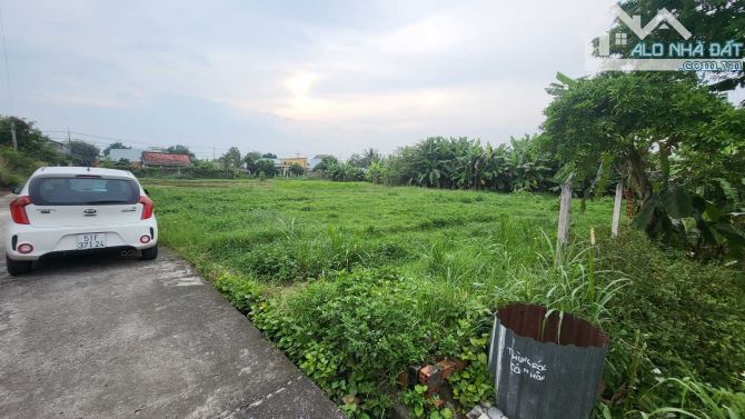 Cần bán 171m2 đất thổ cư ở Tân Thông Hội – Giá 1tỷ – Đất cách mặt tiền QL22 200m - 1