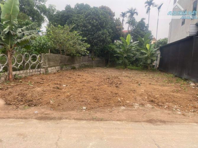 250m2 giá chỉ 2xtr/m tại thuỷ xuân tiên chương mỹ - 1