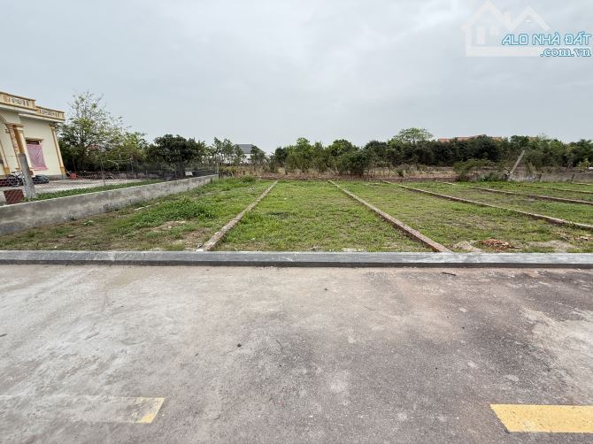 BÁN CẮT LỖ MẢNH ĐẤT QUẤT LÂM - NINH BÌNH RẺ HƠN THỊ TRƯỜNG 200TR - 1