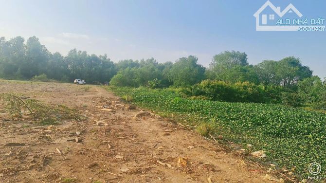 Bán đất vườn hẻm đường Long Phước p Long Phước - 1