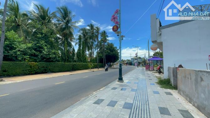 Tổng Hợp đất biển Hàm Tiến Mũi Né giá tốt nhất thị trường đường Nguyễn Đình Chiểu - 1
