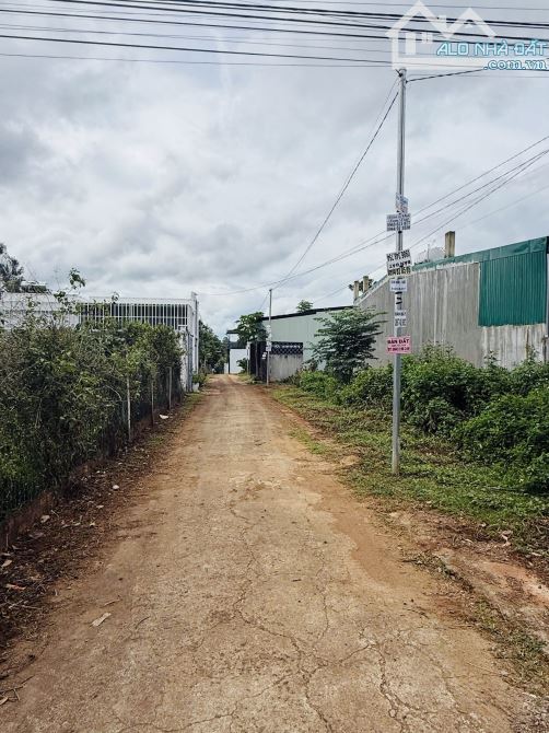 💎 Lô TC 5,2x22m góc 2 mặt tiền hẻm Mậu Thân, sau chợ Đầu mối - 1