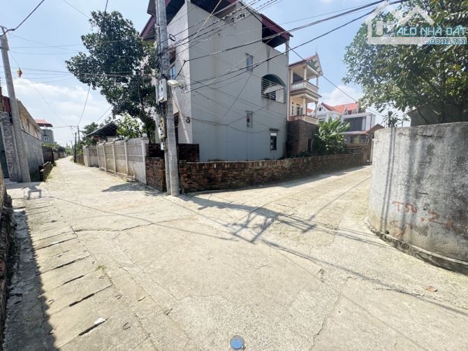 ĐÓN ĐẦU DỰ ÁN KHU ĐÔ THỊ THƯƠNG MẠI DỊCH VỤ ĐẦM LAI CÁCH, TRƯỜNG ĐUA NGỰA TÂN MINH - ĐƯỜNG - 1