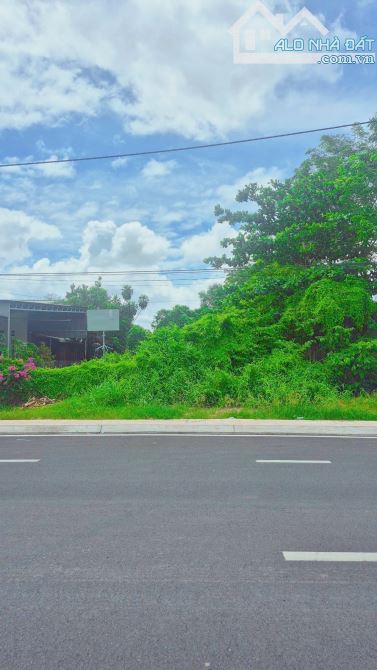 Cần bán đất mặt tiền Tôn Đức Thắng, Hoà Thành, Tây Ninh ( 6,8 x 50 ) - 1