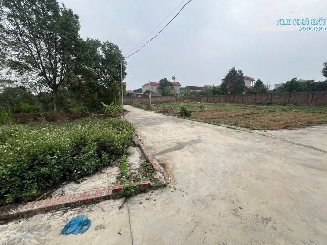 Đất Đẹp Phù Linh – 71,6m² Vuông Vắn, Chủ Bán Lỗ - Giá Công Khai 1,3x tỷ - 1