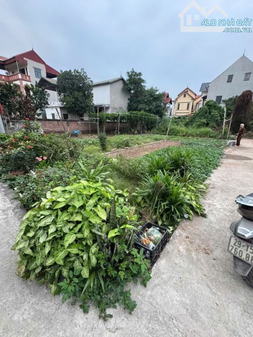 🌟Lô Đất Hiếm_Quỹ Đất ít nhất huyện   **Phương Quế,Liên Phương,Thường Tín   **Diện tích 48 - 1