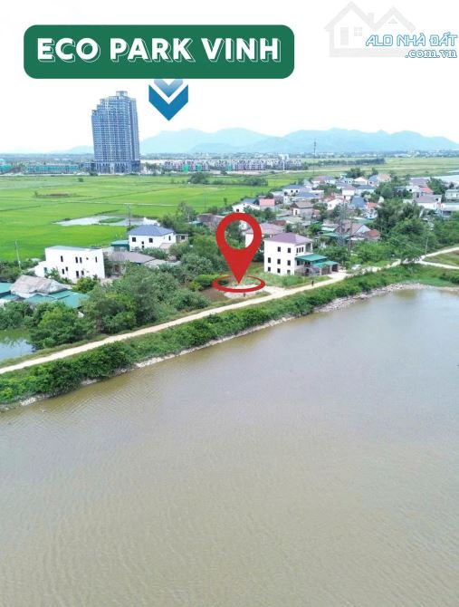Đất đấu giá Hưng Hòa cách Ecopark 500m - 1