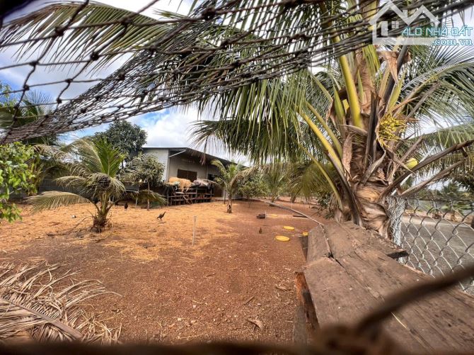 CHÍNH CHỦ BÁN NHÀ VƯỜN 5300M², GẦN TRUNG TÂM TP BUÔN MA THUỘT - 13