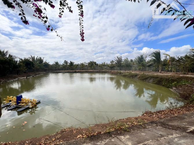 CHÍNH CHỦ BÁN NHÀ VƯỜN 5300M², GẦN TRUNG TÂM TP BUÔN MA THUỘT - 14