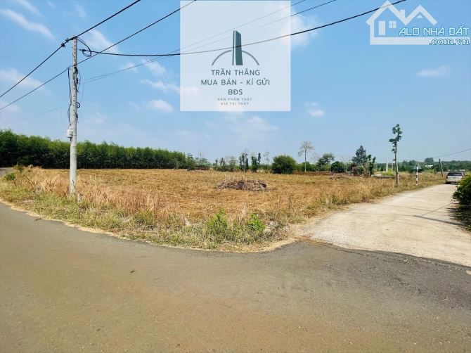 🌿 BÁN ĐẤT GẦN HỒ SÔNG RAY – SƠN BÌNH CŨ (XUÂN SƠN – TP.HCM) 🌿 - 2