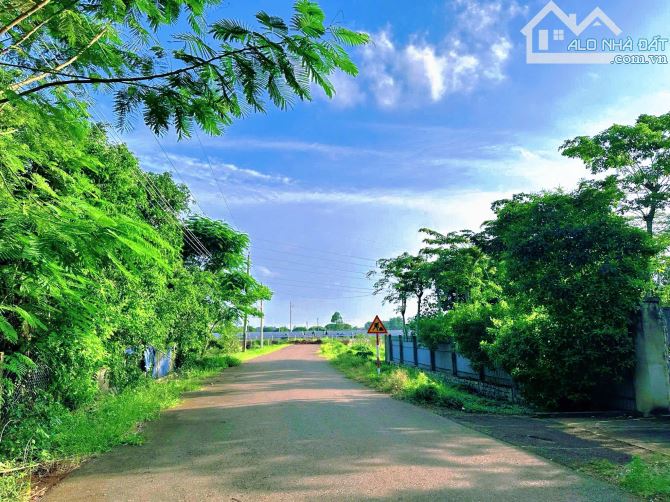 BÁN GẤP LÔ ĐẤT 184M² – KDC HÒA LONG, NGỘP NGÂN HÀNG – GIÁ RẺ BẰNG NỬA THỊ TRƯỜNG - 2
