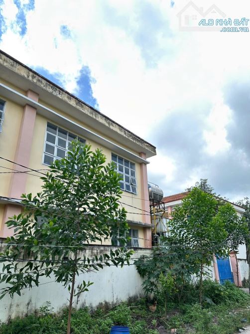 CẦN BÁN GẤP LÔ ĐẤT MINH HƯNG . CHƠN THÀNH - 2