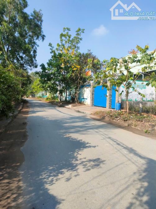 BÁN ĐẤT QH dân cư 1500m2 đường 7 Tấn xã An Phú Tây - 2