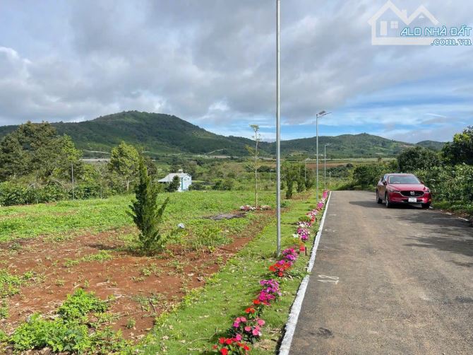 Bán đất xã liên hiệp đức trọng 970 triệu- sổ riêng đất xây dựng - 2