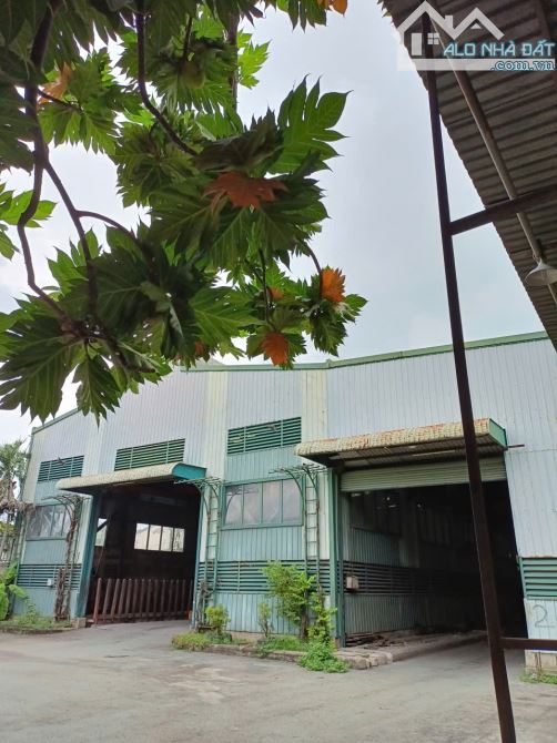 GẤP BÁN KHO XƯỞNG 3.368M2 NGANG 40M – MẶT TIỀN QUỐC LỘ 1A KHU CHẾ XUẤT LINH TRUNG- 96 TỶ - 2