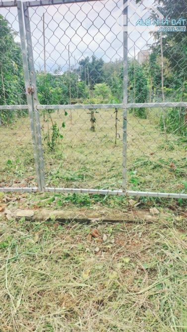 🏡 ĐẤT VƯỜN – PHƯỜNG BẢO VINH, LONG KHÁNH 🏡 - 1