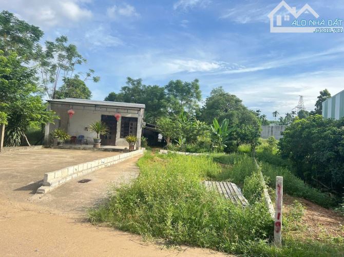 Hoà sơn cần bán 1 lô bê tông sát nhựa hoà khánh. - 2