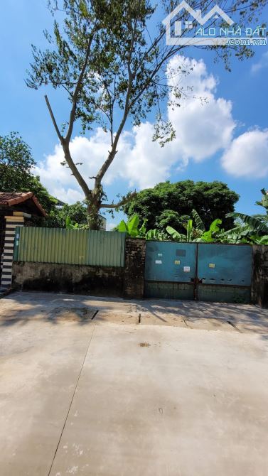 Bán 252m2 đất Đông Mỹ - Thanh Trì, ô tô tải tránh, vào đất thoải mái, mt 12m, tầm tiền hiế - 2