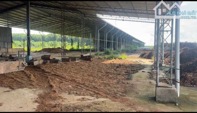 Bán nhà xưởng 28 hecta tại Xuân Lộc Đồng Nai giá rẻ có sẵn 5,6 hecta đất SKC - 2