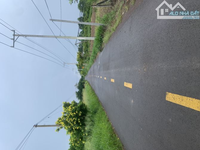 bán đất xã ( xuân tây cũ ) xuân đông.tỉnh đồng nai - 2