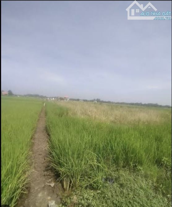 CHÍNH CHỦ CẦN BÁN GẤP ĐẤT CÁCH ĐƯỜNG LÊ HỮU NGHĨA 100M, TP. TÂN AN, GIÁ 1.1 TỶ - 2