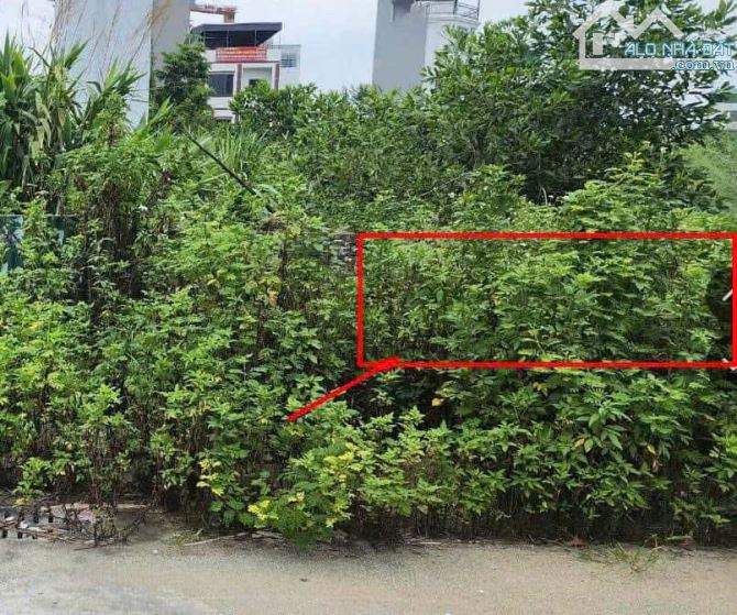 Bán Đất Vân Canh – Hoài Đức | 89.4m². Nở Hậu – Mặt Tiền 6.23m – Đường 11m, Vỉa Hè Rộng. - 2