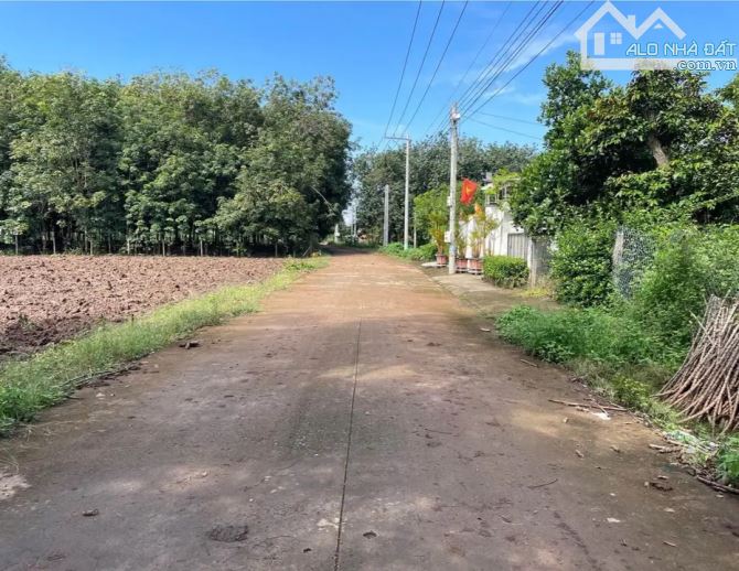 Bán nhanh miếng vườn cây ăn trái tại Thành phố - 2