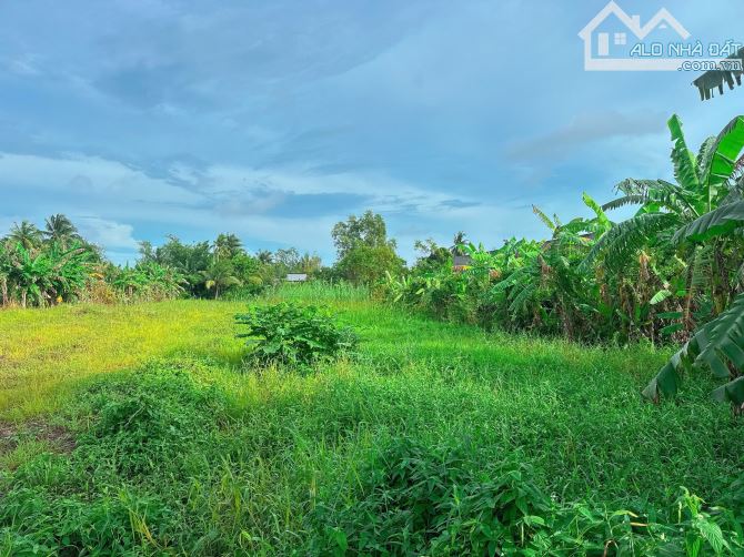 Bán 2050m2 đất mặt tiền đường Trương Vĩnh Nguyên - 2