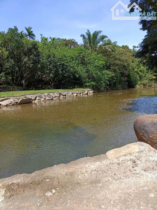 173. CHỈ NHỈNH 1 TRIỆU/M2, SIÊU PHẨM KHU DU LỊCH,SUỐI CHẢY TỰ NHIÊN,GẦN BÀ NÀ HILL, CỰC RẺ - 2