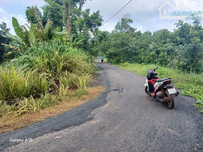 CẦN BÁN 7500m2 PHỦ HỒNG NGUYÊN NHÀ VƯỜN TRÁI CÂY SẴN GIÁ RẺ CHỈ 3tỷ CÁCH BIỂN 20km. - 2