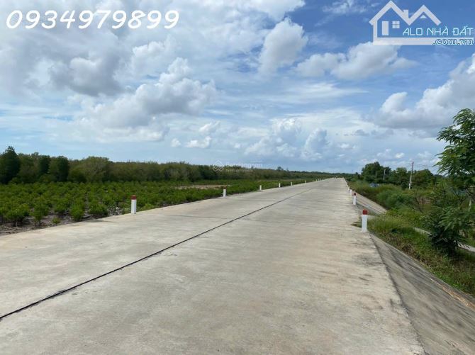 Bán 979m2 đất mặt tiền đê biển, ấp Tân Phú, Xã Tân Thành có nhà yến 500 tổ - 2