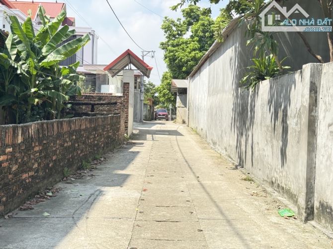 ĐÓN ĐẦU DỰ ÁN KHU ĐÔ THỊ THƯƠNG MẠI DỊCH VỤ ĐẦM LAI CÁCH, TRƯỜNG ĐUA NGỰA TÂN MINH - ĐƯỜNG - 2