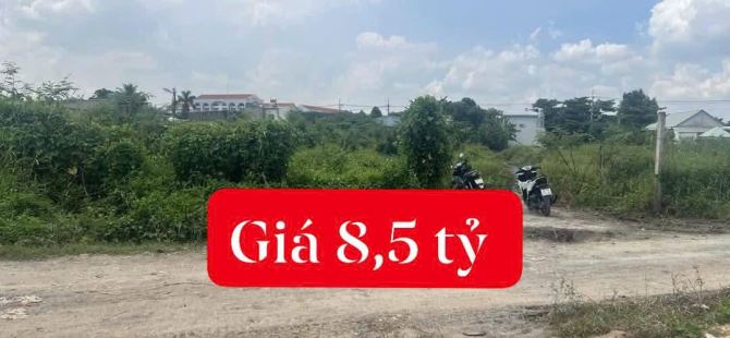 1000m2 thổ cư MT xã Bình Mỹ chỉ 8.5 tỷ - 2