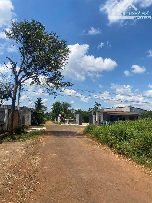 BÁN ĐẤT LÔ GÓC 2 MẶT TIỀN – ĐƯỜNG A1, XÃ CƯ ÊBUR, TP. BMT 🏡 - 2