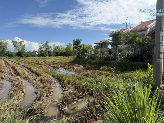 🌊 ĐẤT VÀNG CỬA ĐẠI – VIEW RUỘNG LÚA & BIỂN – CƠ HỘI ĐẦU TƯ HIẾM🏝️ - 2