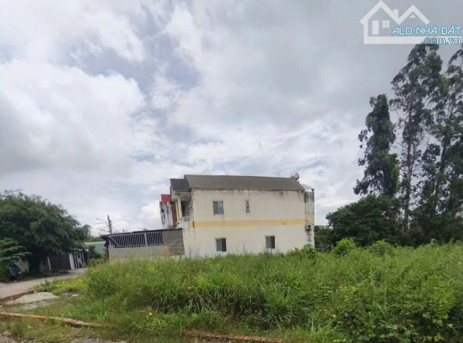 🔥Bán đất Tân Phước Khánh 52, Tân Khánh, TP.HCM – 240m² thổ cư, giá rẻ - 2