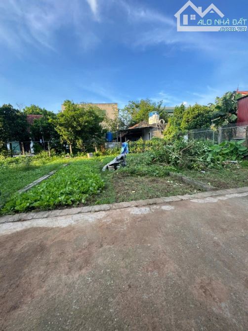 💫SIÊU PHẨM VUÔNG ĐẸP💲giá nhỉnh 1tỷ  🍁Tự Nhiên - Thường Tín - HN  ***Diện tích: 42,3m² * - 2