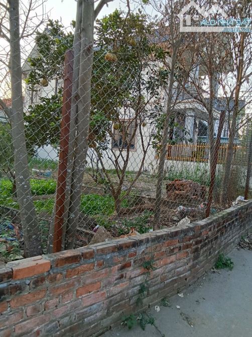 BÁN GẤP 90m² đất thôn Phúc Tiến – Bình Yên – Thạch Thất - 2