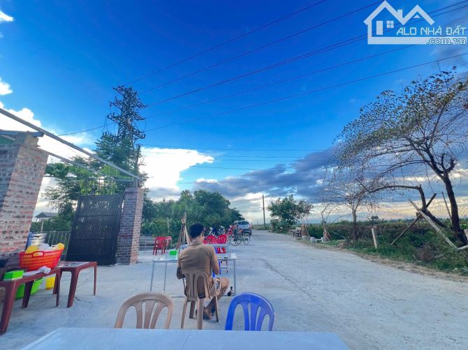 Đất đấu giá Hưng Hòa cách Ecopark 500m - 2