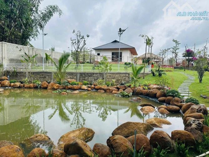 Bán đất 100m2 sổ riêng xây dựng-phú hội đức trọng lâm đồng 1 tỷ 380 triệu - 3