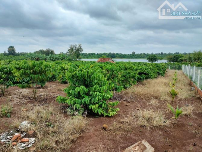 ĐẤT 2 MẶT TIỀN VIEW HỒ BA VÒI- BMT - CƠ HỘI VÀNG - 3