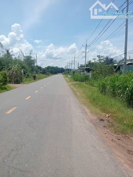 CCG SANG NHƯỢNG NHANH LÔ ĐẤT THỔ VƯỜN  TRẢNG BÀNG 202m2 NGAY QL.22 - 3