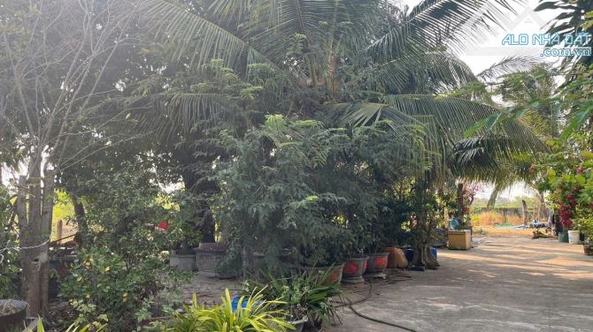 Bán 25m đất ODT mặt tiền Lê Minh Công - LaGi giáp 577 chỉ 400tr/m ngang - 3