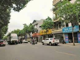 Ngô Xuân Quảng / Đất 62m, 4m tiền, 6.7 tỷ/ Ô tô vào, Gần Phố, Trung tâm Trâu Quỳ - 3