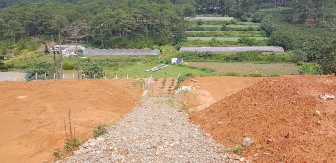 Bán đất mặt tiền DT27C Đạ Sar – 6600m² – giá 40 tỷ TL - 3