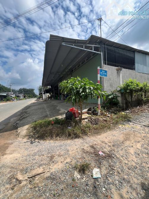 Bán đất trung tâm An Tây Bến Cát giá rẻ - 3
